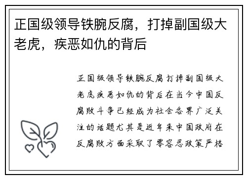 正国级领导铁腕反腐，打掉副国级大老虎，疾恶如仇的背后