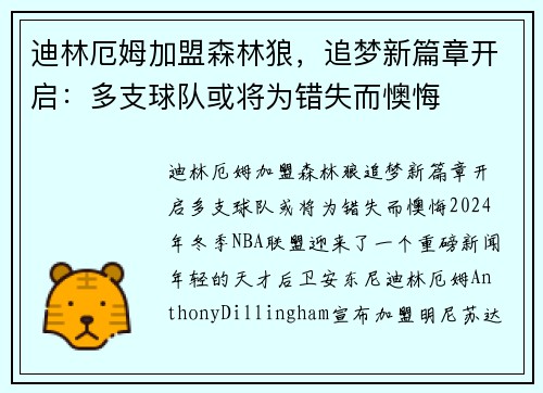 迪林厄姆加盟森林狼，追梦新篇章开启：多支球队或将为错失而懊悔