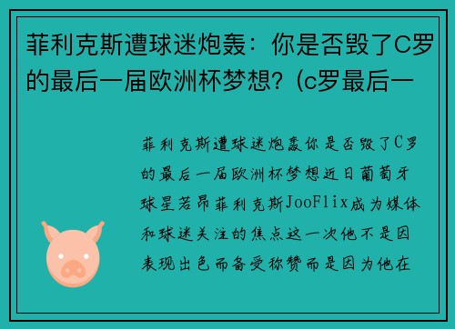 菲利克斯遭球迷炮轰：你是否毁了C罗的最后一届欧洲杯梦想？(c罗最后一次欧洲杯)