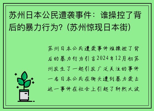 苏州日本公民遭袭事件：谁操控了背后的暴力行为？(苏州惊现日本街)