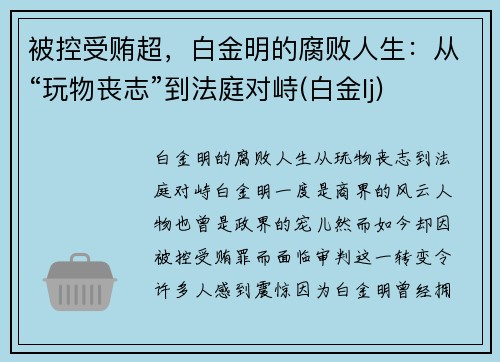 被控受贿超，白金明的腐败人生：从“玩物丧志”到法庭对峙(白金lj)